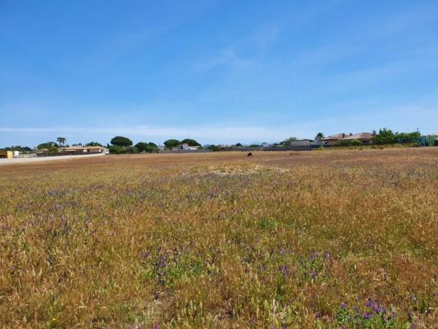 Parcela en venta en Chiclana de la Frontera, Pago del humo