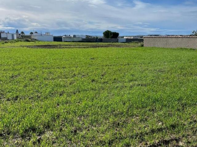 Parcela en venta en Chiclana de la Frontera, Pelagatos Pago del Humo