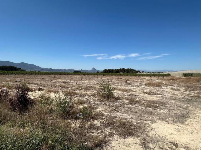Parcela en venta en Cieza, Ascoy