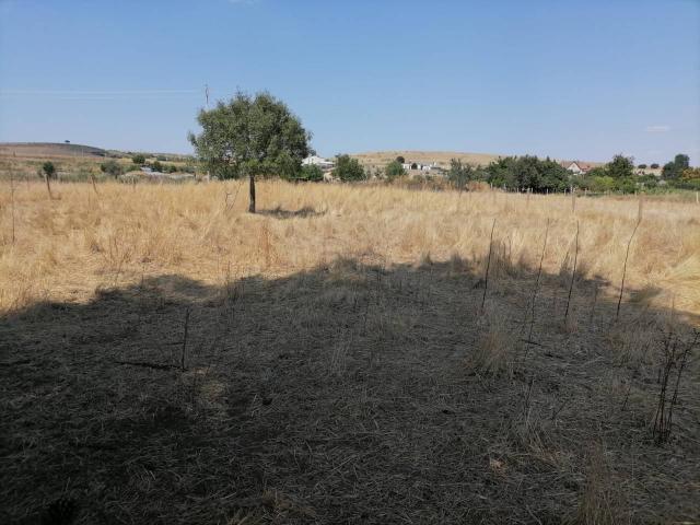 Parcela en venta en Ciudad Rodrigo