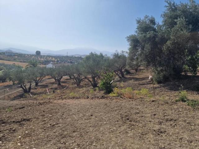 Parcela en venta en Coín, South of spain
