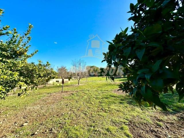 Parcela en venta en Córdoba, Gorgoja