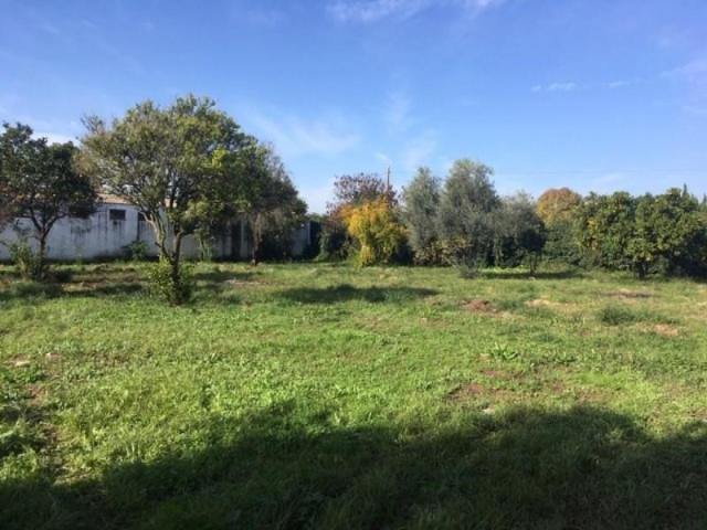 Parcela en venta en Córdoba, El Higuerón