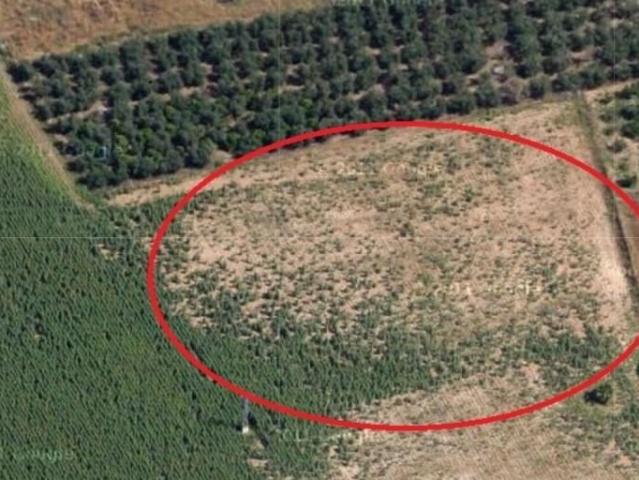 Parcela en venta en Córdoba, El Higuerón