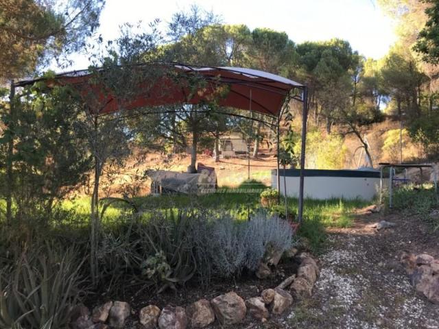 Parcela en venta en Córdoba, Trassierra