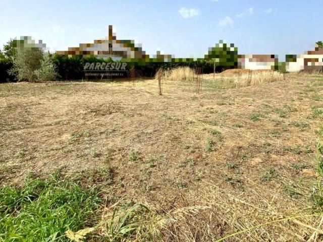 Parcela en venta en Córdoba, Villarrubia