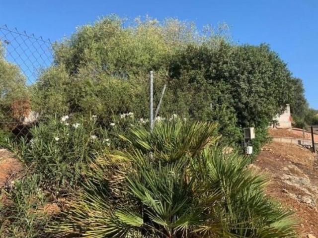Parcela en venta en Córdoba, Villarrubia