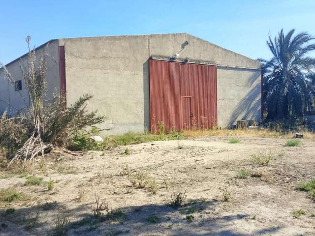 Parcela en venta en Crevillent Alicante