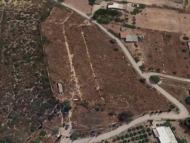 Parcela en venta en Crevillent, LA MANGRANERA