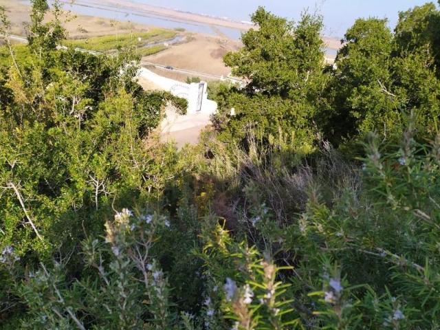 Parcela en venta en Denia, MontePego
