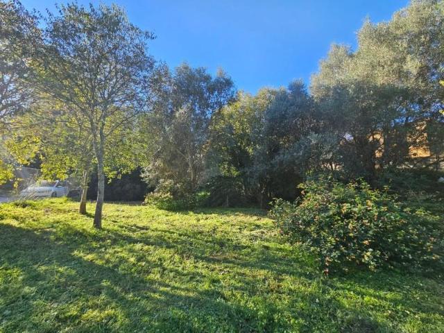 Parcela en venta en Denia, El Montgó