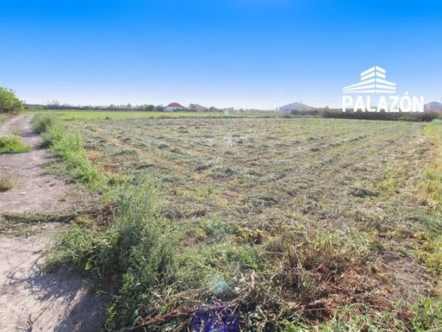 Parcela en venta en Dolores