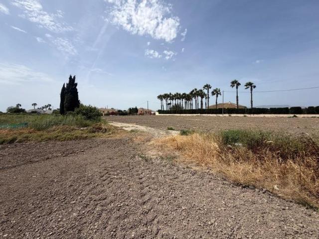 Parcela en venta en Dolores, Comunidad valenciana