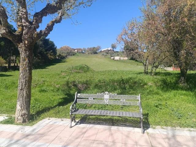 Parcela en venta en El Molar, La alameda 2