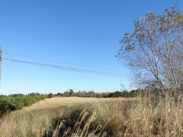 Parcela en venta en El Verger, Campo