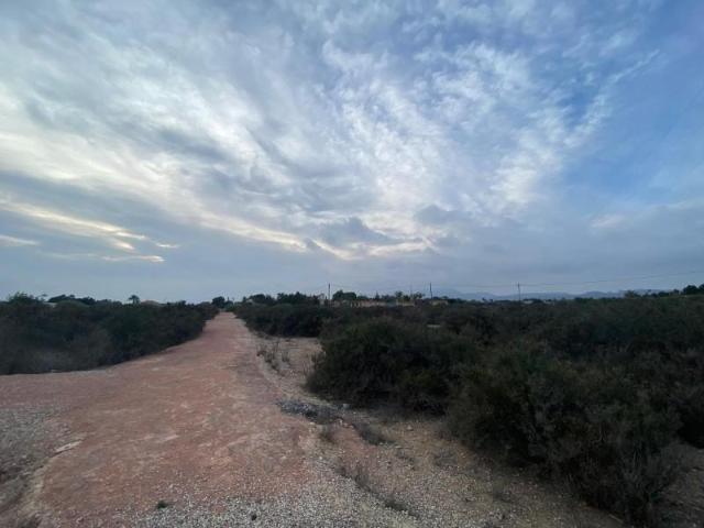 Parcela en venta en Elche, Matola