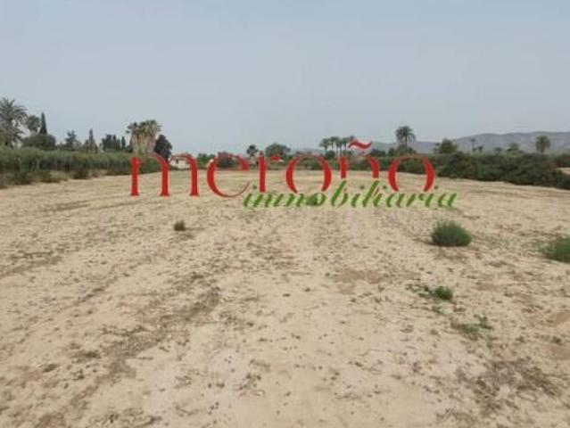 Parcela en venta en Elche, Algoda