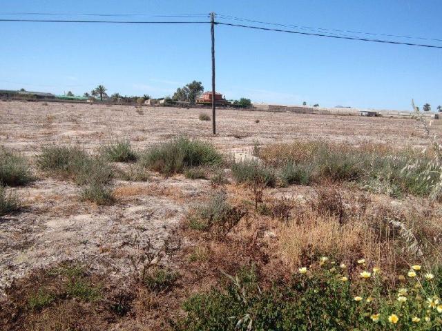 Parcela en venta en Elche Alicante