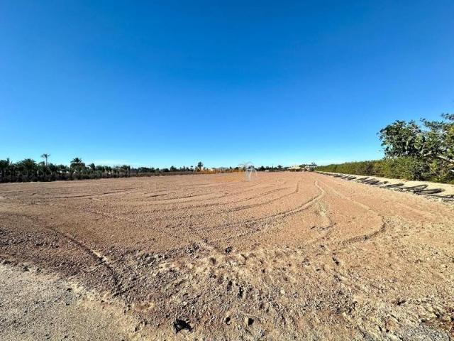 Parcela en venta en Elche, Asprillas