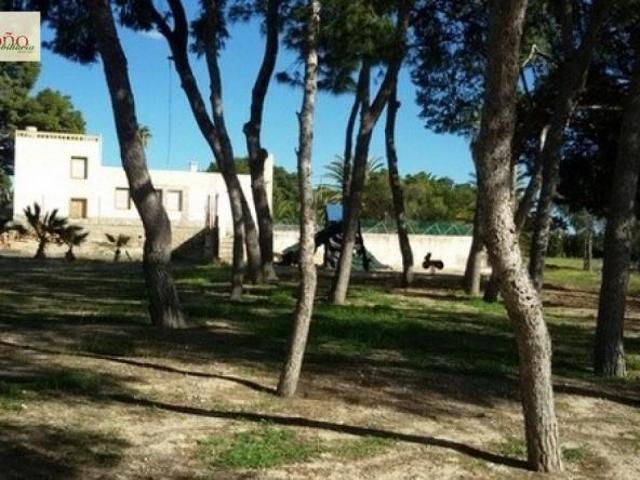 Parcela en venta en Elche, PEÑA LAS AGUILAS