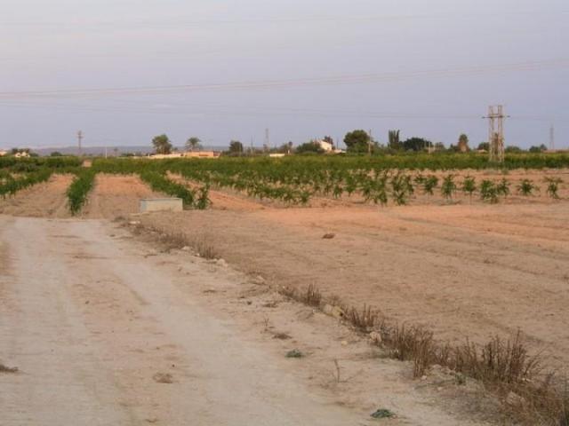 Parcela en venta en Elche, XLas bayas
