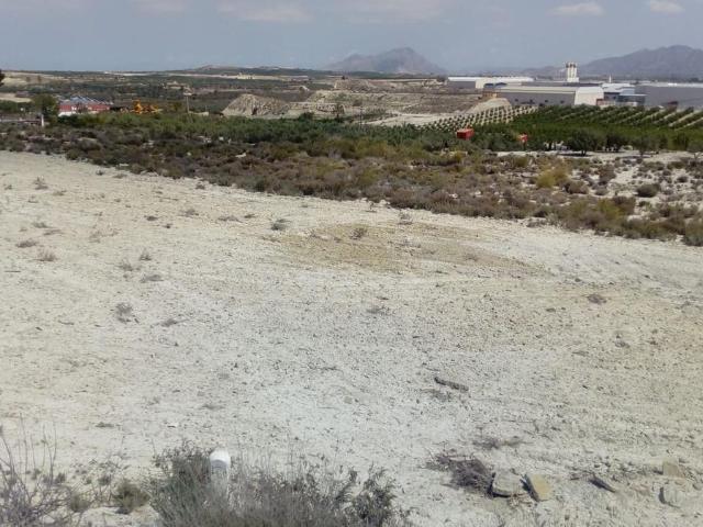 Parcela en venta en Fortuna Murcia