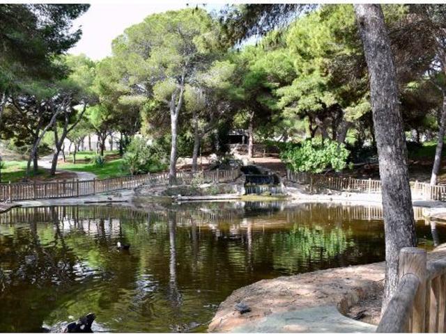 Parcela en Venta en Guardamar del Segura, Alicante