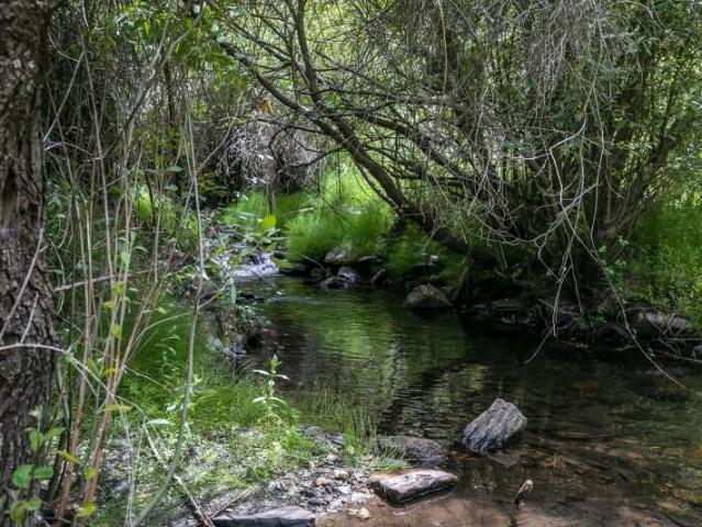 Parcela en venta en Güejar Sierra, GÜEJAR SIERRA