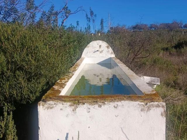 Parcela en venta en Gerena, Gerena