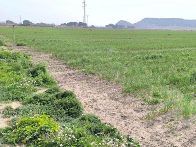 Parcela en Venta en Huertas de Villena, Alicante