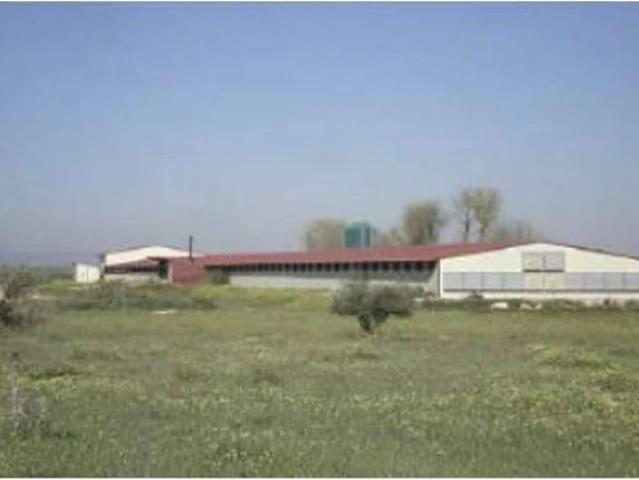 Parcela en Venta en Herencia, Ciudad Real