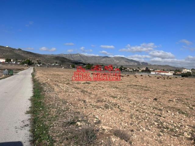 Parcela en venta en Hondon de los Frailes, Los Pinos