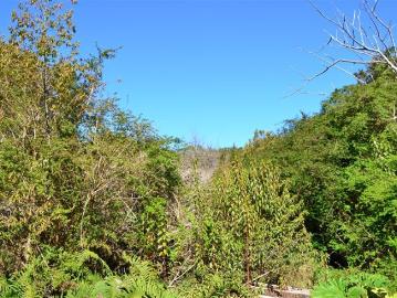 Parcela en Venta en Hornopiren