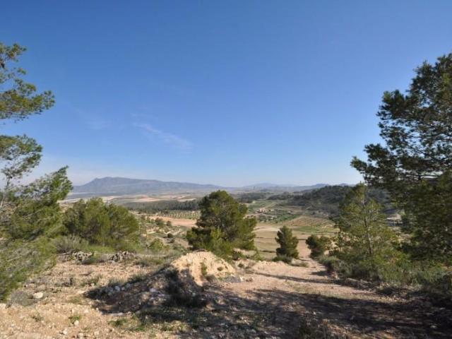 Parcela en venta en Jumilla, Jumilla
