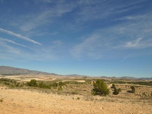 Parcela en venta en Jumilla, Jumilla