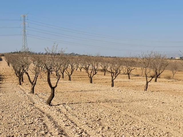 Parcela en venta en Jumilla Murcia
