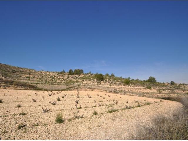 Parcela en Venta en Jumilla, Murcia