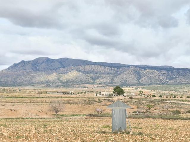 Parcela en venta en Jumilla Murcia