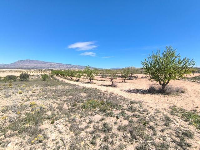 Parcela en venta en Jumilla Murcia