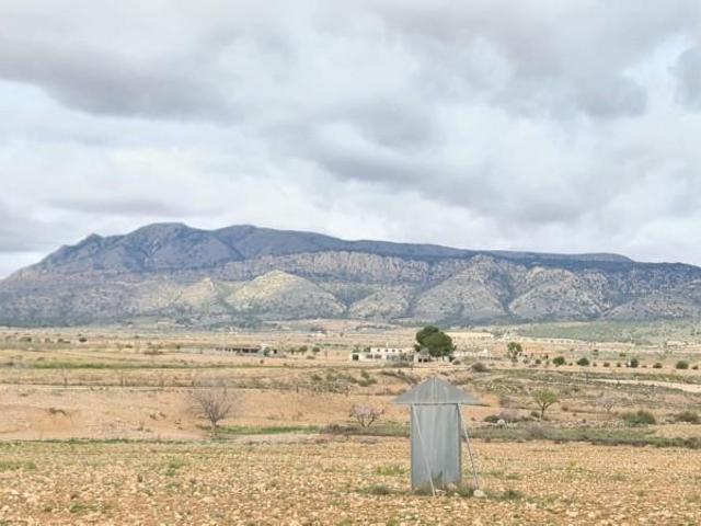 Parcela en venta en Jumilla, Torre del rico