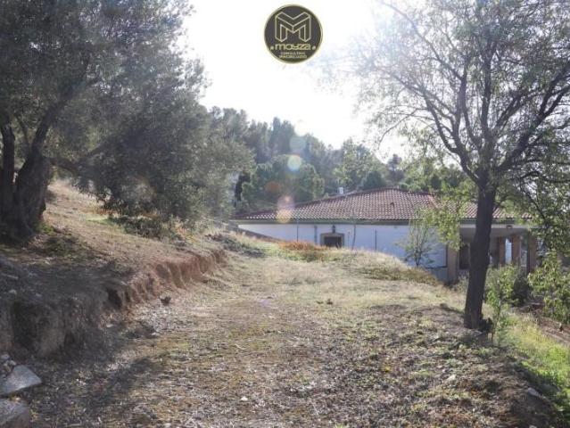 Parcela en venta en Jaén, Jaen