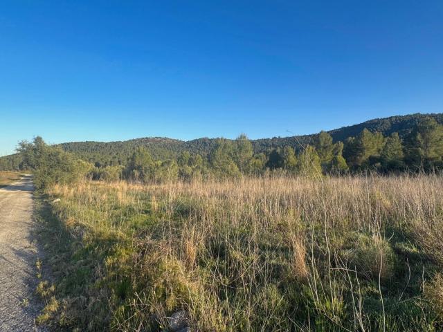 Parcela en venta en Jalón con vistas abiertas y gran potencial urbanístico