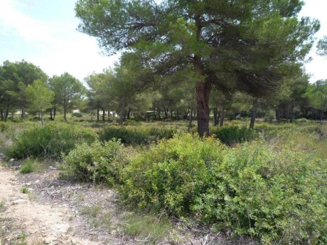 Parcela en venta en Jávea/Xàbia, Costa Nova