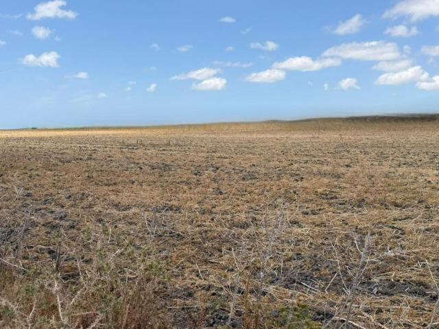 Parcela en venta en Jerez de la Frontera Cádiz