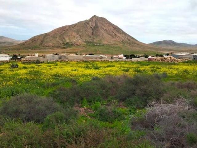 Terreno en venta en La Oliva, Tindaya