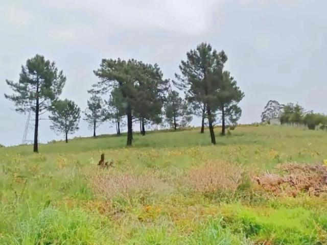 Parcela en venta en La Coruña La Coruña
