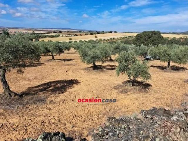 Parcela en venta en La Granjuela, La granjuela