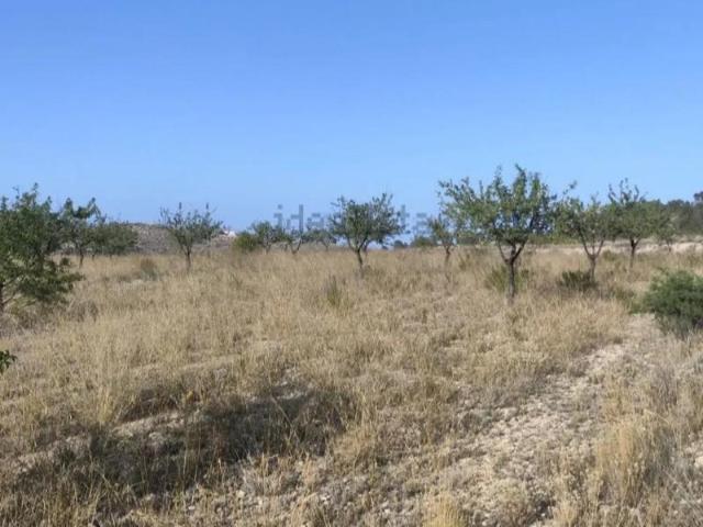 Parcela en venta en La Romana, Comunidad valenciana