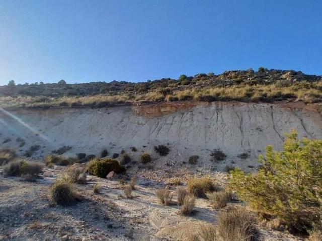 Parcela en venta en La Romana, Comunidad valenciana