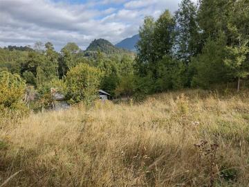 PARCELA EN VENTA EN LAGO RANCO CALIDAD INDIGENA